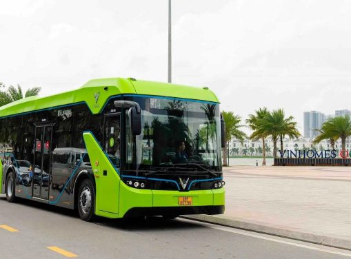 Public Buses