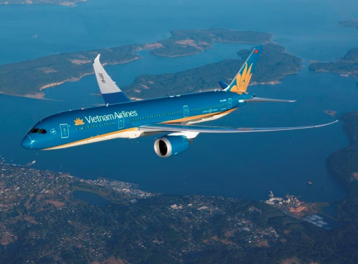 Domestic Flights